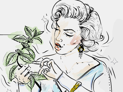 Dribbble240 coffee elena greta illustration linework monroe shop sketch watercolor