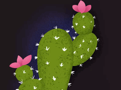 Bloomy cactus blooming elena-greta