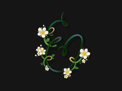 “E” is for elderflower summer 36days of type e elder flower elena greta flower type