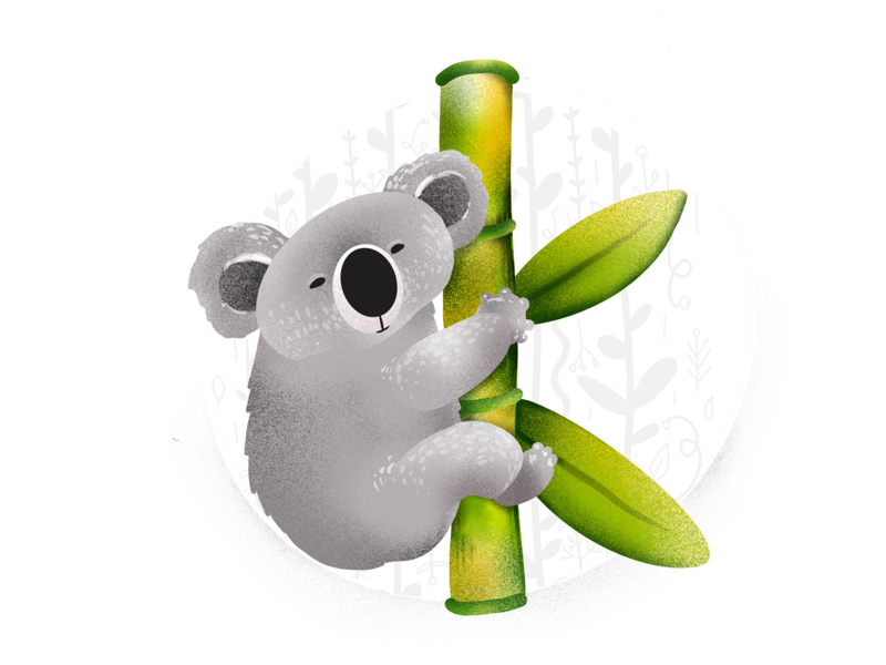 "K" is for Koala itchy belly 36days of type bamboo belly elena-greta itchy k koala procreate