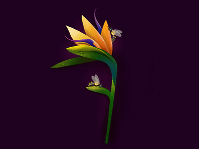 Seven Days In Paradise Flower By Elena Greta Apostol On Dribbble