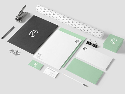 Consultation ICS branding business card design logo typography visual identity