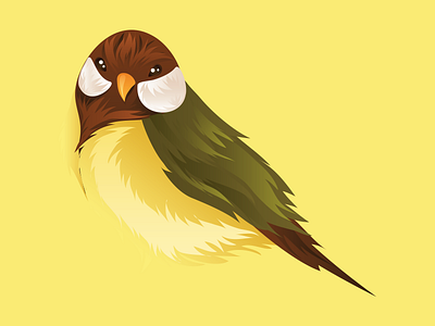 Bird Illustration bird colors design fly game icon illustration illustrator