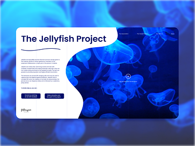 Jellyfish Project Landing Page - UI Website