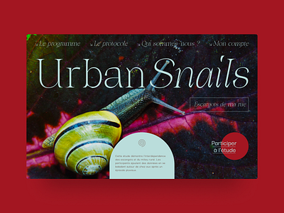 Urban Snails layout exploration | Participative Science