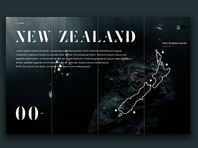 New Zealand Scuba Diving spots 00 UI Website