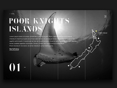 New Zealand Scuba Diving spots 01 UI Website