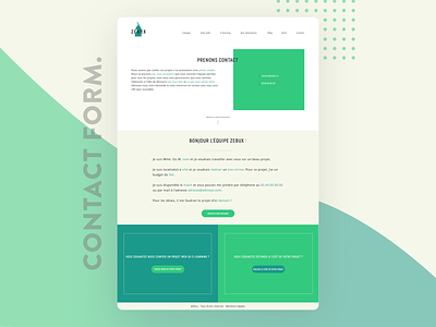 Zebux Contact Form Concept - UI Website