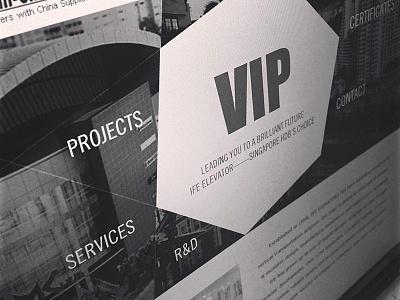 VIP Theme Demo demo design projects rd services vip web