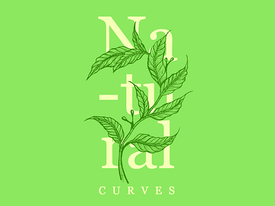 Natural Curves composition curves graphic design illustration illustration art illustration design illustration digital natural plants sketch