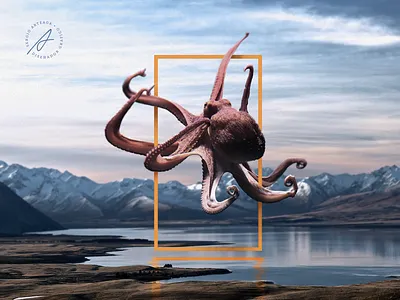 Octopus animal animals art concept creative design graphicdesign idea illustration inspiration landscape octopus photomanipulation photoshop poster trend