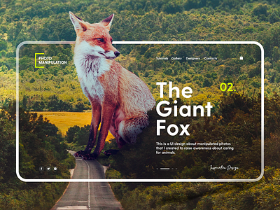 Photo Manipulation animal creative fox inspiration manipulation uiux unreal