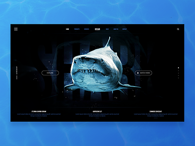 Theme Ocean blue diseño gráfico natural ocean sea shark ui uiux web webdesign