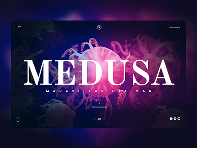 Theme Medusa interfaz de usuario ocean photography sea ui uidesign uiux web webdesign