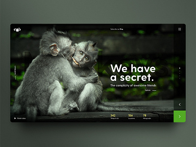 Monkeys brand design friends inspiration interaction interface monkeys photography ui uidesign uiux webdesign