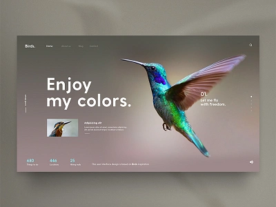 Birds Inspiration bird flying fotografía graphic design inspiración minimalita template theme ui uidesign uiux web