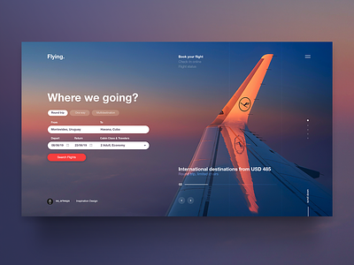 Airlines Concept arilines concepto digital formulario inspiration interaction interface plane product proposal redesign ui design