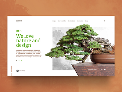 B O N S A I bonsai china design inspiration interaction interface landingpage minimalist uiux árbol