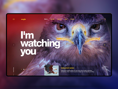 Eagle animal concept design develop digital eagle editorial frontend gradient graphicdesign inspiration interaction landingpage uiux web webpage website wordpress