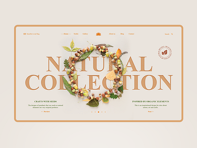 Natural Collection collection design graphic design inspiration interaction interface landing nature sepia web web design webpage website