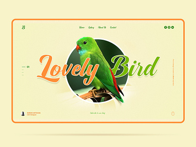 Lovely Bird bird birds diseño diseño gráfico ilustración inspiración interacción interface design templates interfaz landing modelo tema uidesign uiux user interfaz web