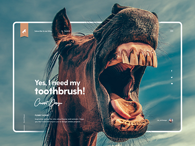 Funny Horse concept fun funny graphic design horse humor inspiration interface landing photography smile teeth thoothbrush uiux web web design webpage