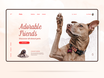 Pets adorable concept development dogs friends graphic design home inspiration interaction interface landing pets photography template uiux web webpage website wordpres