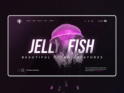 Jellyfish black creatires creative graphic design interaction interface jellyfish landing ocean photomanipulation web design webdesign