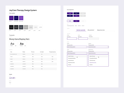 JayCare Therapy website design system assets colors components design system typography ui website