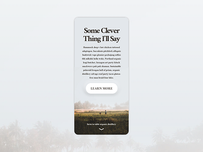 Natural Textures Concept design ios mobile photography serif font traditional typography ui ux web