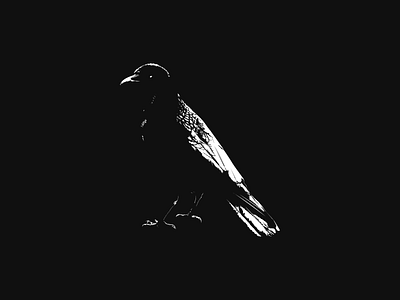 Social Campaign Spot Illustration branding crow figma flat horror illustration podcast spotart vector