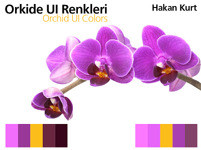 Orchid UI Colors colors flat flower gui orchid ui