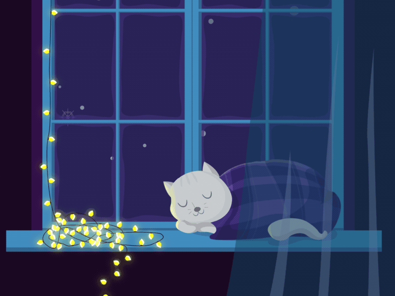 Animation Cat is sleeping on the window 2d 2d animation 2d character aftereffects animation animationstudio blanket cat cold design illustration lights motion motiondesign motiongraphics night vector warmth window winter
