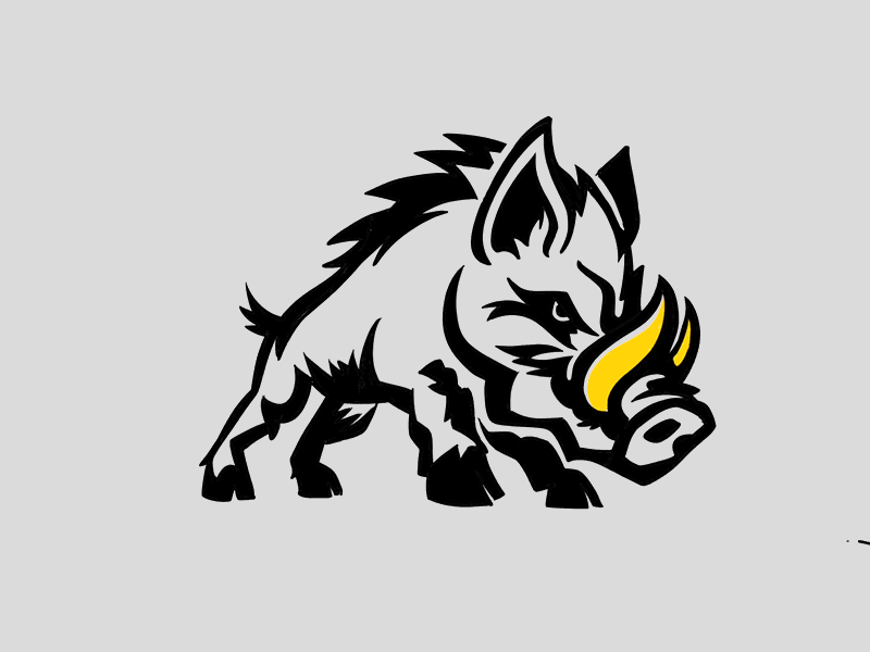HS Sports Logo Test boar design football icon illustration logo