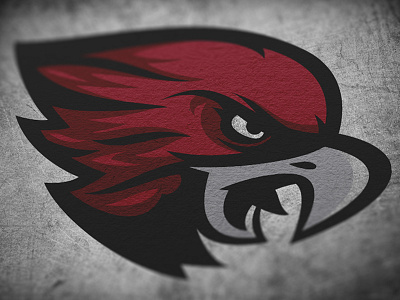 Shore Hawk 2.0 athletic bird branding design hawk logo sports