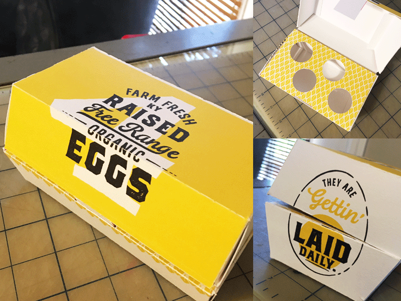 Box Prototype box carton design eggs