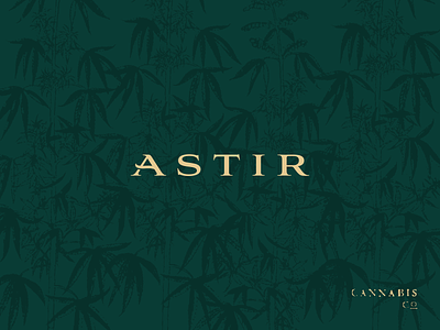 Astir Cannabis Co. Logotype agency branding cannabis cannabis branding cbd creative direction design logo logotype