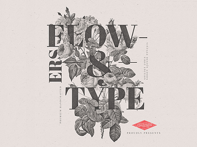 Flowers & Type experiment flowers illustration retro type typography vintage