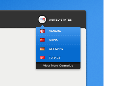 Country Selector country drop down flags menu