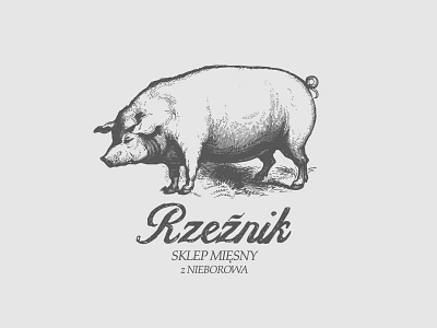 Rzeźnik - Sklep mięsny butcher meat pig shop