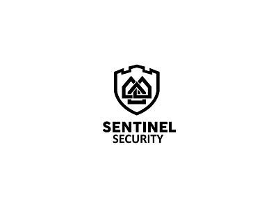 SENTINEL SECURITY vol.3 alarm assembly camera fitter installation monitoring security