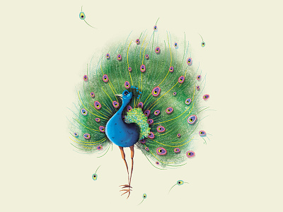 Peacock animal art artwork bird bird illustration characterdesign conceptart design digitalart drawing illustration painting peacock sketch