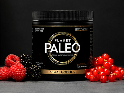Planet Paleo Primal Goddess brand design minimal