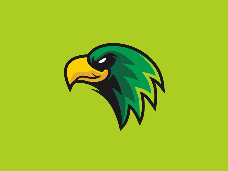 Hawk Logo by Diefes Vector on Dribbble