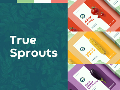 Branding | True Sprouts agriculture agro branding clean colourful design farming food delivery fruits graphic design grocery delivery logo modern nature organic vegetables