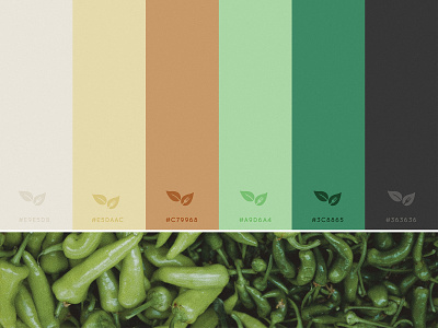 TruProvisions | Color Palette brand brand design brand identity branding color color palette food food brand food color green green brand logo logo design