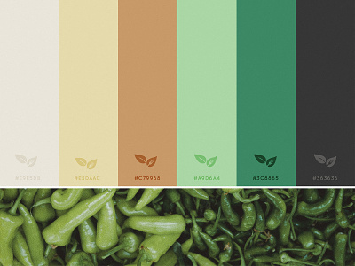 TruProvisions | Color Palette