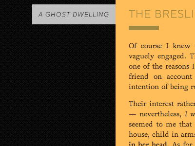 Ghosts of Gatsby & The Breslin Hotel ghostdwelling