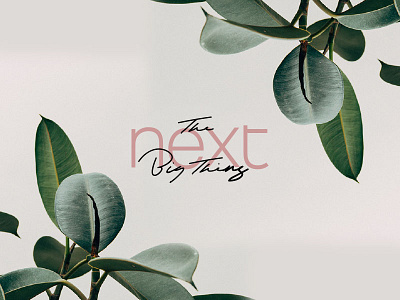 03. The Next Big Thing colour concept consumer design floral hand logo logotype mute next trend type