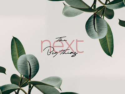 03. The Next Big Thing